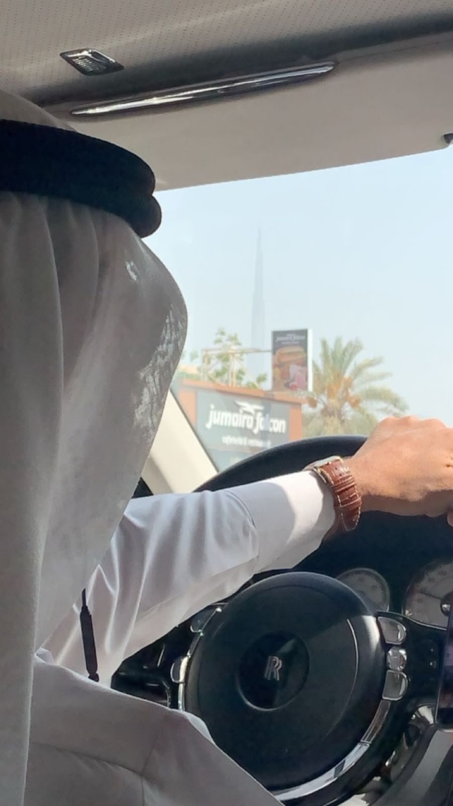 عن البروفيسور فيجن